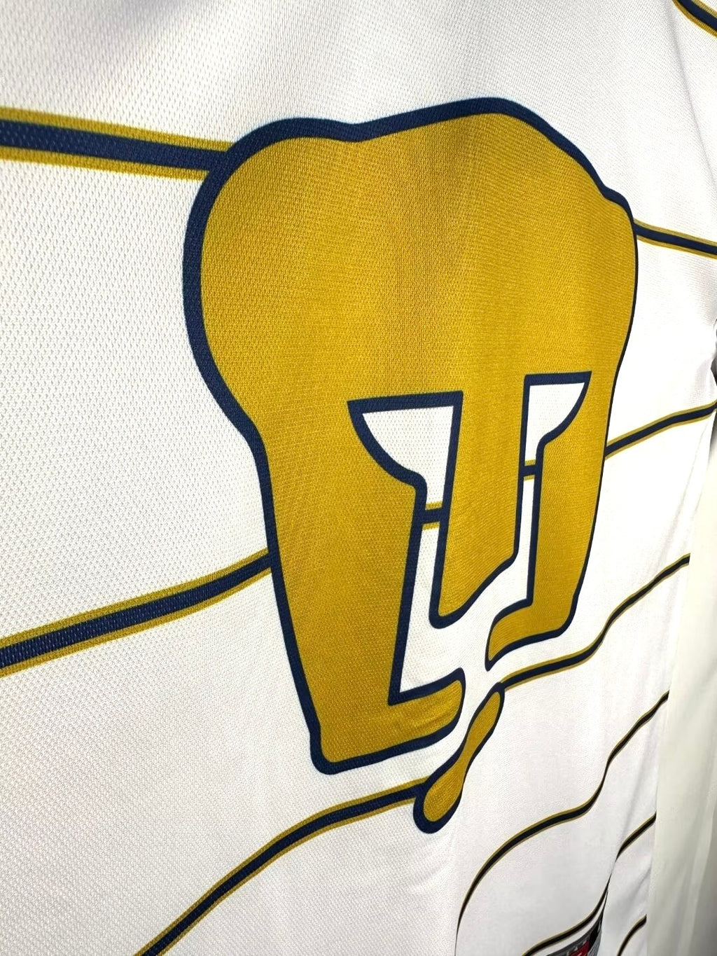 Pumas 1997/1998